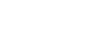 Tyyni-2023